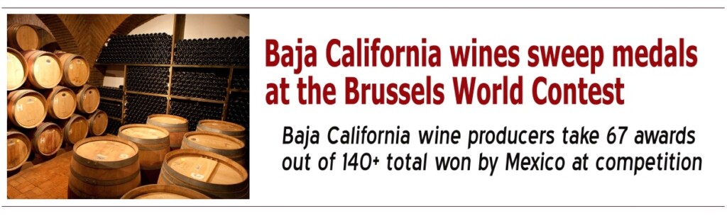 Baja California takes the highest awards for Mexican wines at competition